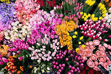 《索尼克：起源》全新预告 6月23日登陆全平台